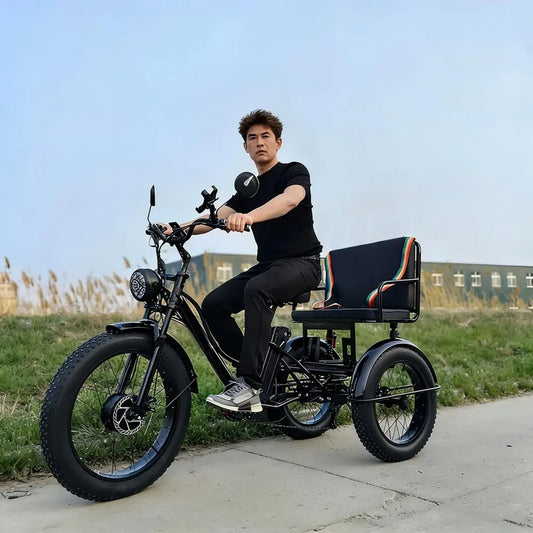 Vélo Électrique 3 Roues pour Adultes 750W, Batterie 48V 18Ah, Cadre Renforcé, Freins à Disque, Suspension, Sécurité en Ville - Noir